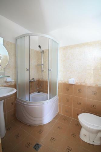Hotel Vila Casa Leul