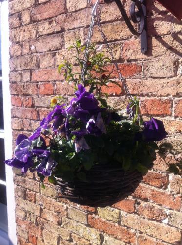 Bridge Hotel Brandon