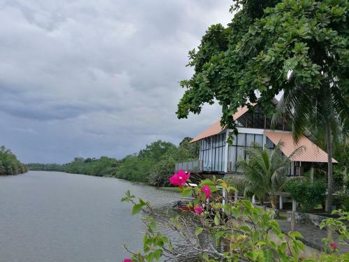 Homestay Ala Riverview Lodge Kota Bharu