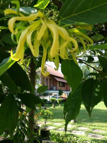 Homestay Ala Riverview Lodge Kota Bharu