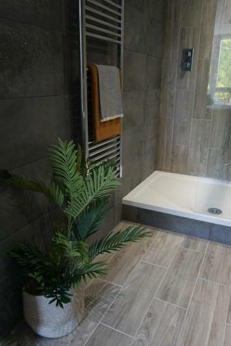 Apartamento High Spec And Stunning, Sleeps 2- Great Location, Wifi