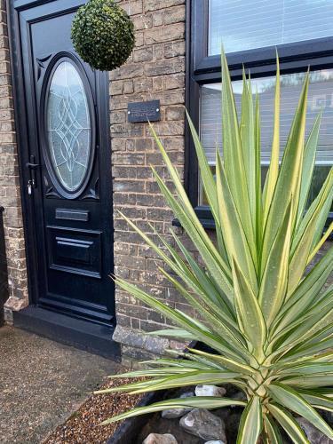 Code Terrace Stylish 2 Bed House Oulton Broad