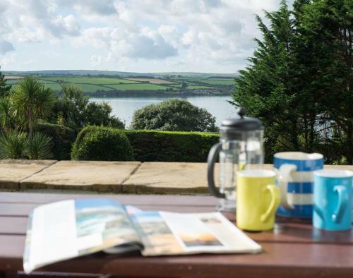 Speedwell