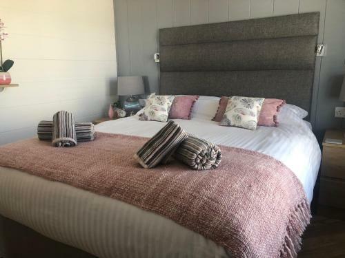 Padstow Lodge - Pet Friendly 3 Bedroom Lodge