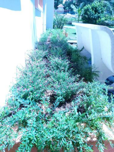 Homestay Villa Solihin Sungai Buloh