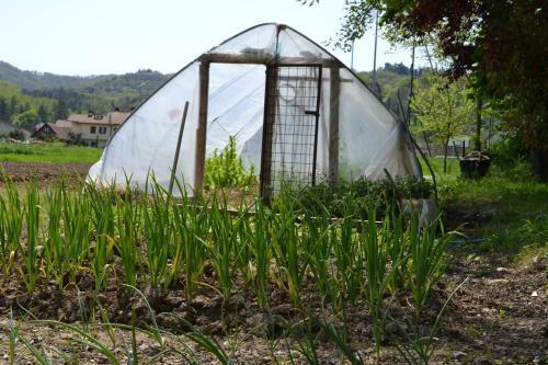 Agroturismo Agriturismo Nestore