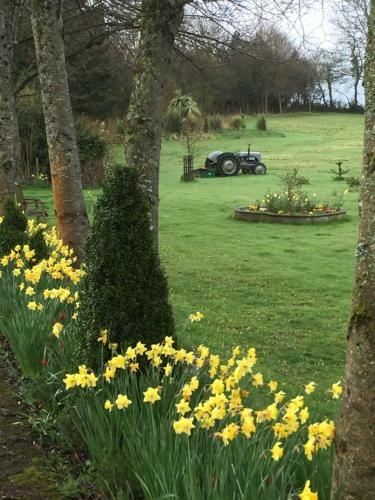 The Old Rectory