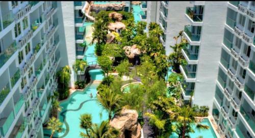 Apartamento Amazon Rainforest