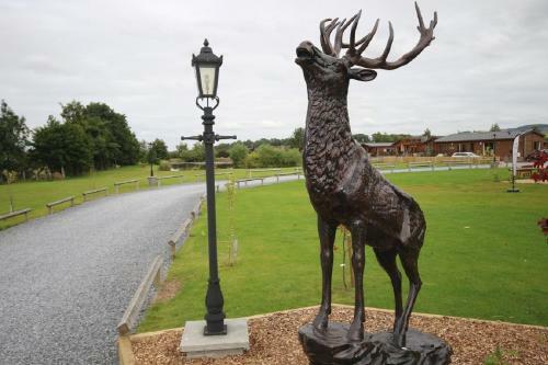Jackson Lodge