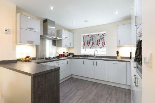 A League Of Its Own