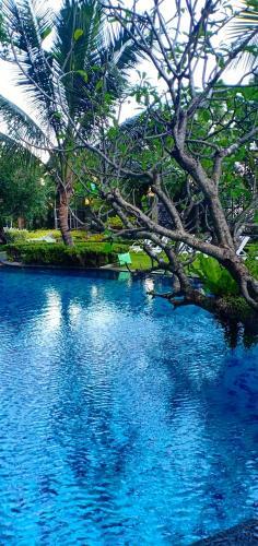 Bed & Breakfast The Riviera Jomtien