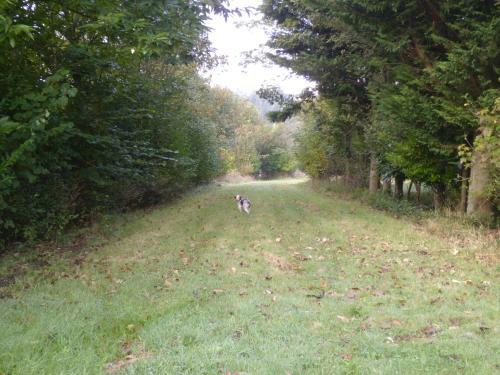 Domaine De Troch�rou