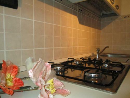 Bed & Breakfast Orchidea