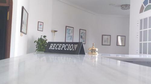 Hotel Palmero