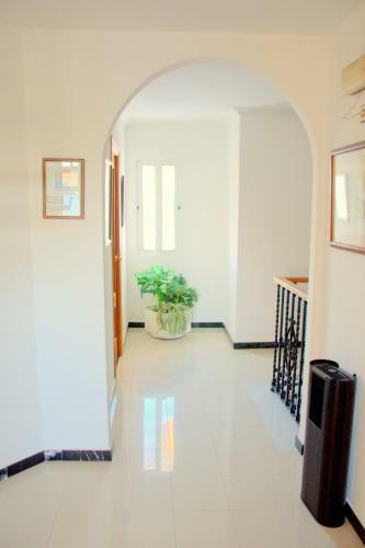 Hotel Palmero
