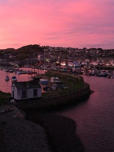 Harbour Lights