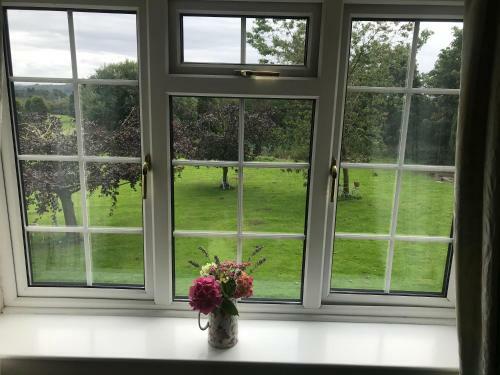 Bed & Breakfast Ticketyboo Suites