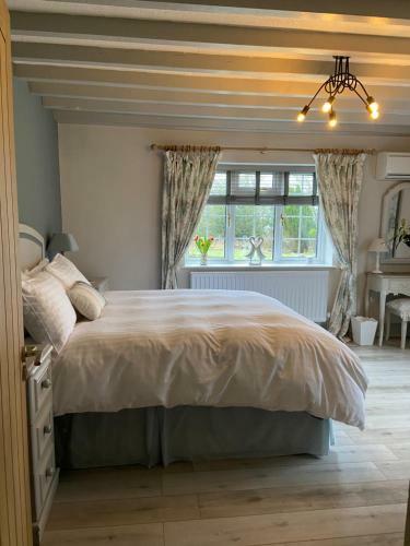 Bed & Breakfast Ticketyboo Suites