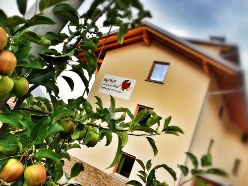 Agroturismo Agritur Il Tempo Delle Mele
