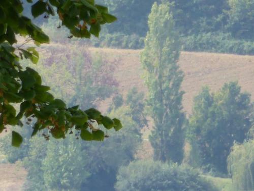 Hostal Chambres D'h�tes Saint Roch