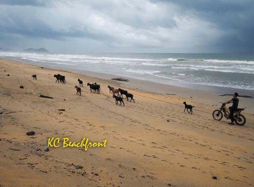 Hostal Kc Beachfront