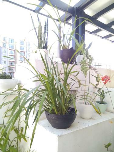 Premium Garden Home 17 Golden Hills
