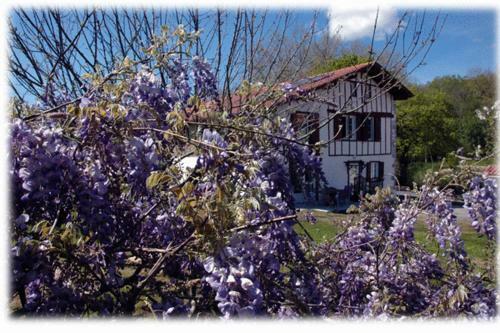 Hostal Maison D'h�tes Uhaldia