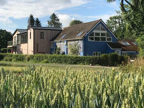 Piglets Boutique B&B
