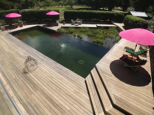 Piglets Boutique B&B