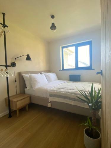 Newly Renovated - Laidback Luxury In St Agnes