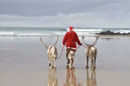 Anvil House, The Old Forge