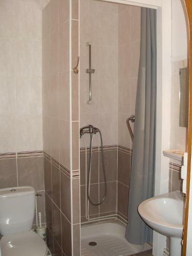 Hotel H�tel Des Alli�s