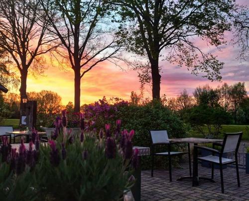 Hotel Martensplek