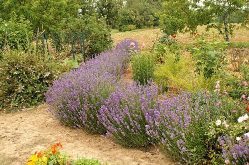 Bed & Breakfast Au Pichet