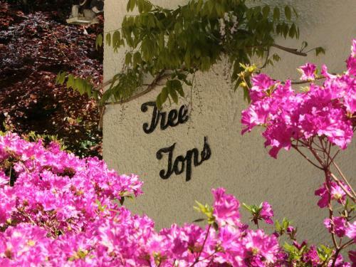 Treetops