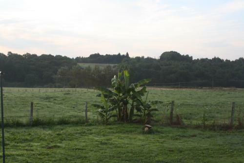 Bed & Breakfast B&amp;b Le Relais De Chantecor