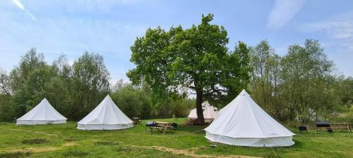 4 Meter Bell Tent - Up To 4 Persons Glamping 9