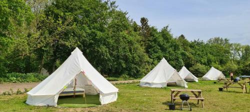 4 Meter Bell Tent - Up To 4 Persons Glamping 12