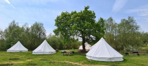 4 Meter Bell Tent - Up To 4 Persons Glamping 18
