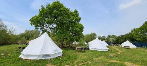 4 Meter Bell Tent - Up To 4 Persons Glamping 7