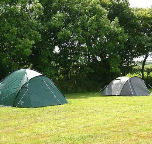 Personal Pitch Tent 6 Persons Glamping 21