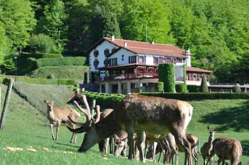 Hotel Venta De Ulzama