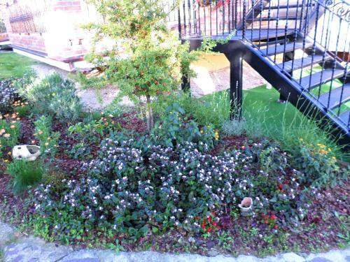 Bed And Breakfast Villa Algi