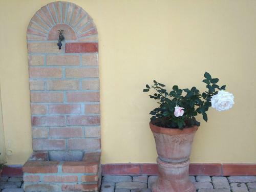 Bed And Breakfast Villa Algi