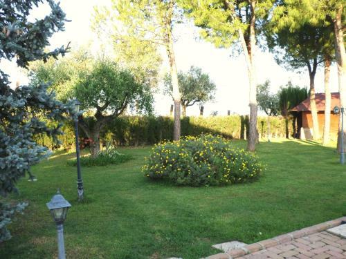 Bed And Breakfast Villa Algi