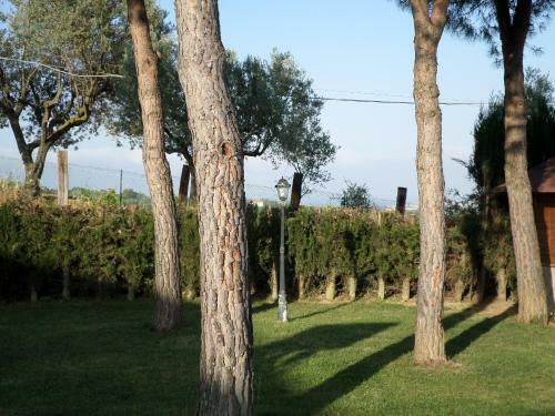Bed And Breakfast Villa Algi