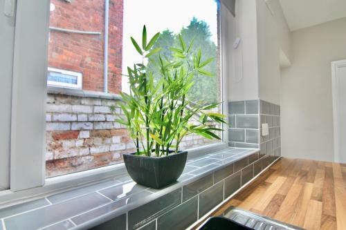 Mount House - Cosy Spacious Home