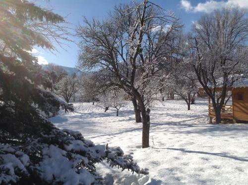 Camping, H�tel De Plein Air Les Cariamas