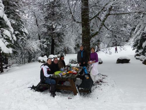 Camping, H�tel De Plein Air Les Cariamas