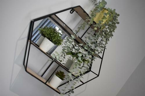 Apartamento Dwell Living - Grand Western